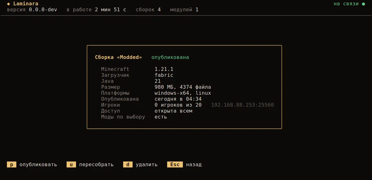 Карточка сборки: версия, загрузчик, размер, платформы, онлайн и доступ